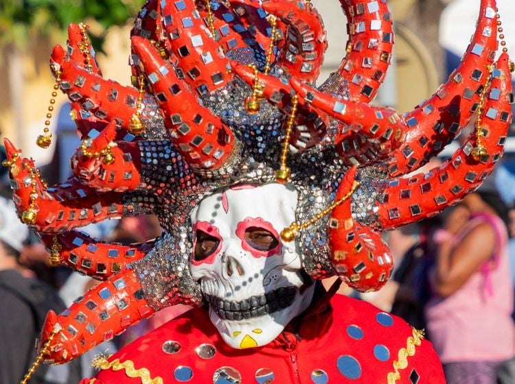 Les festivals hauts en couleurs de la Martinique : un tourbillon d'émotions et de traditions