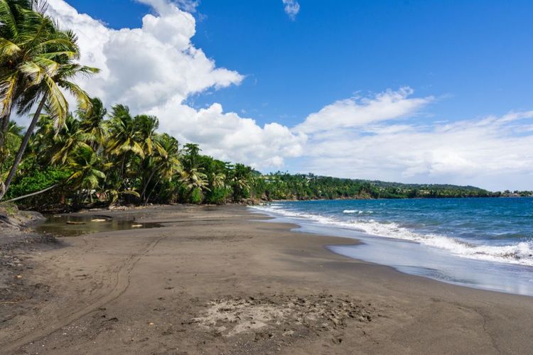 Plage de Grande Anse en Guadeloupe