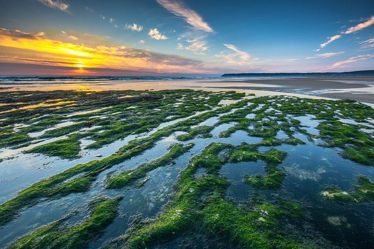 La plage de Sciotot, Normandie