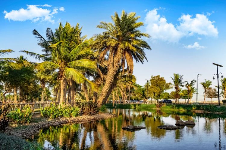 La ville de Yanbu en Arabie saoudite