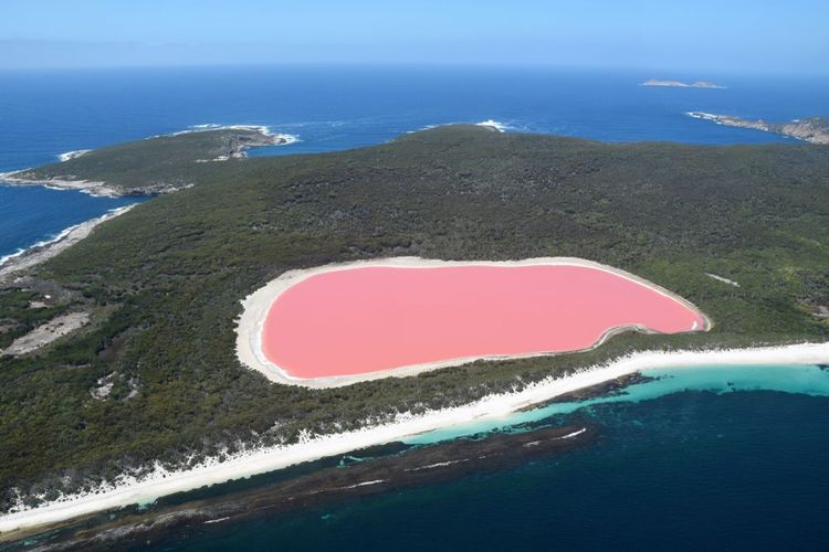 Lac Hillier : l'étonnant lac Pink, point de repère de l'Australie, situé sur Middle Island, près de l'espérance, en Australie occidentale.