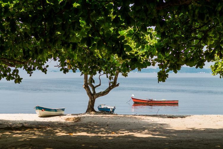 Ile de Paqueta, Brésil