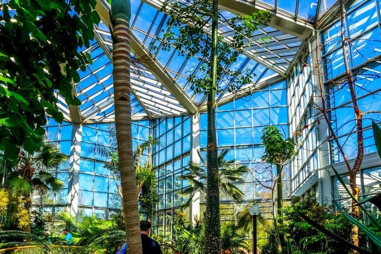 Ein Spaziergang durch das Grüne Paradies: Der Palmengarten in Frankfurt 