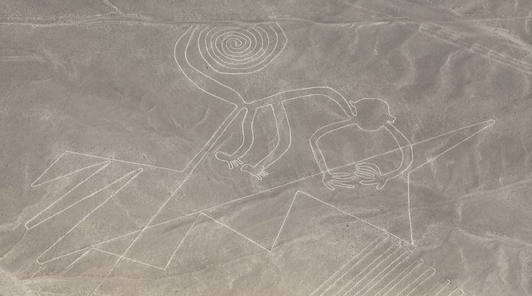 Géoglyphe de singe à Nazca, Pérou