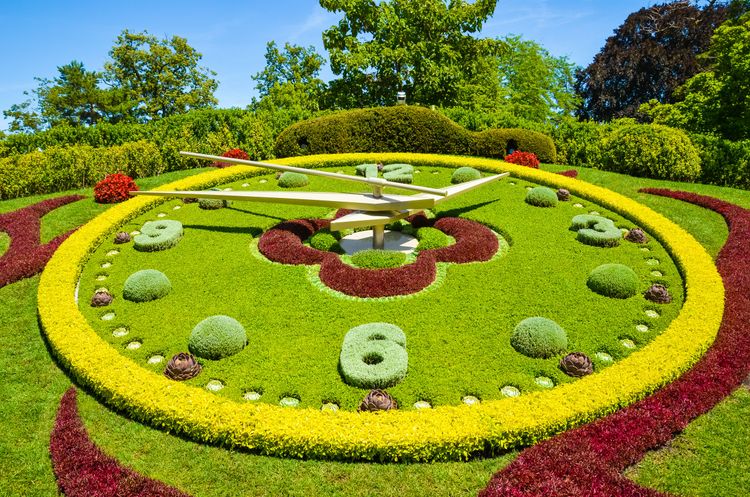 Découvrir le Jardin anglais, la plus belle promenade de Genève