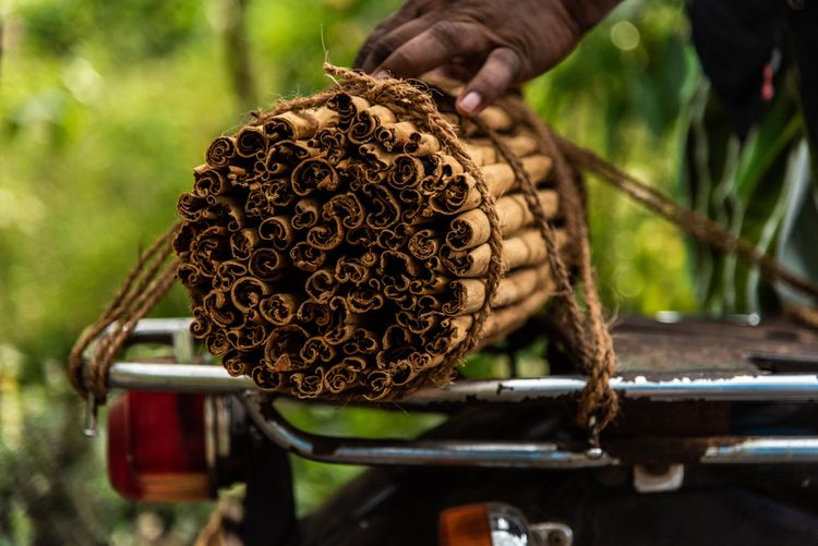 Besuch eines Gewürzgartens (spice garden) von Kandy aus