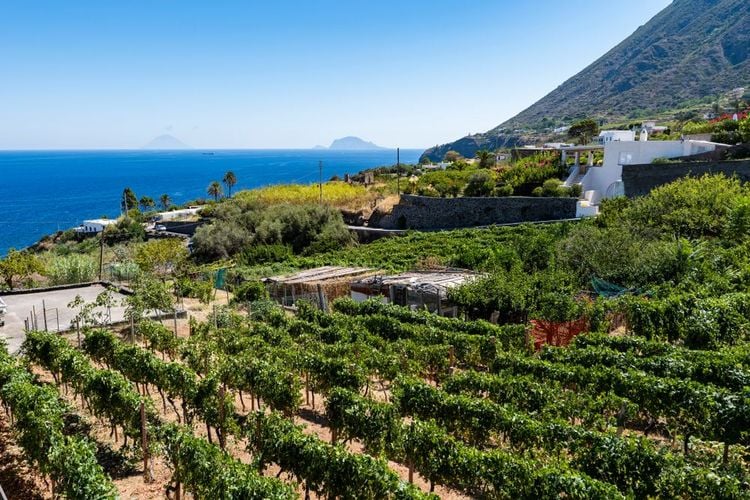 Vue sur le vignoble et la mer depuis le village de Malfa.