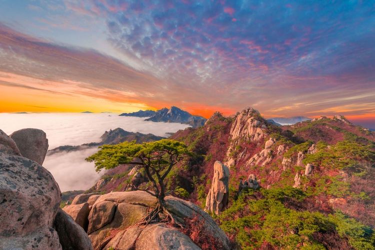 Bukhansan National Park, listed in the Guinness Book of World Records
