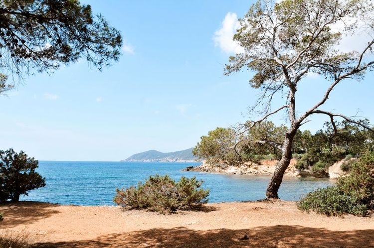 Cala Pada, Ibiza