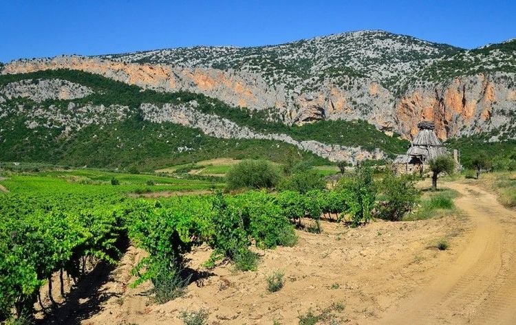 L'évasion ultime : le massif du Gennargentu en Sardaigne