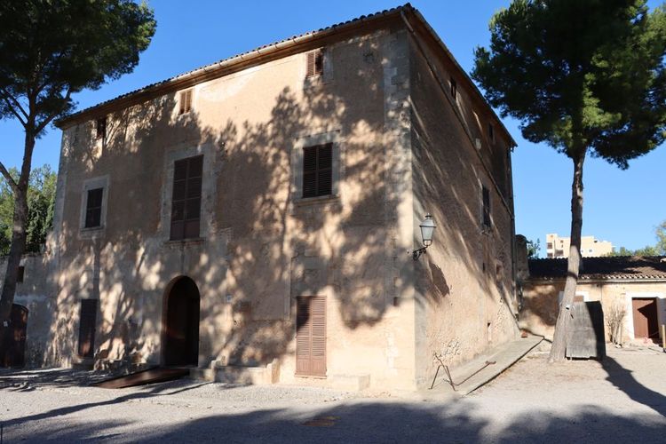 Voyage à travers l'art à la Fondation Pilar et Joan Miró 