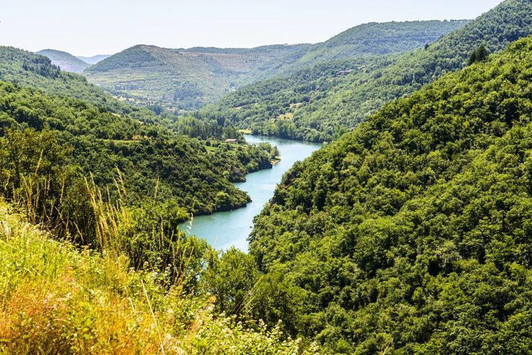 Gorges du Tarn