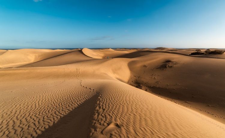 Les dunes de Maspalomas aux Canaries