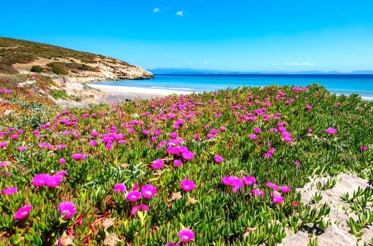 La plage de Coaquaddu