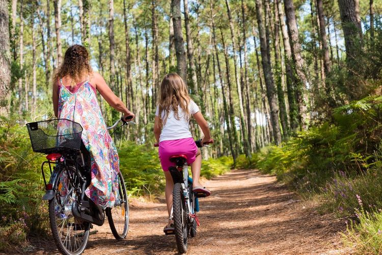 La forêt des Landes en vélo et en famille