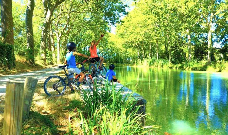 A bicyclette le long du canal du Midi