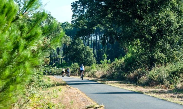 Bicyclette à plusieurs dans les Landes