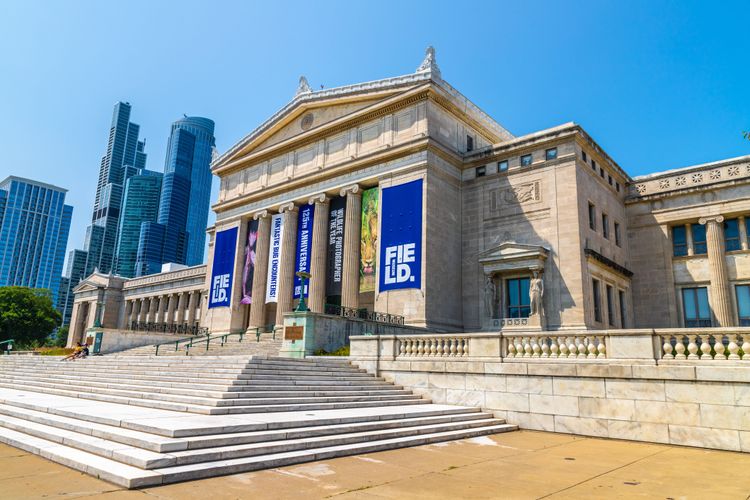 Entrance to the Field Museum in Chicago
