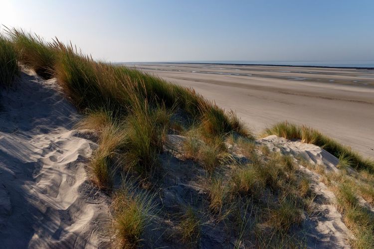 A walk in the Parc du Marquenterre and the great beaches of the Somme