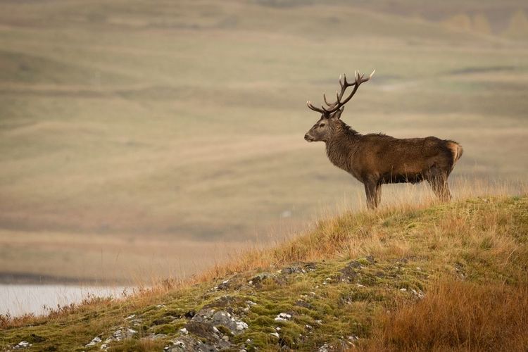 The Cairngorms National Park 