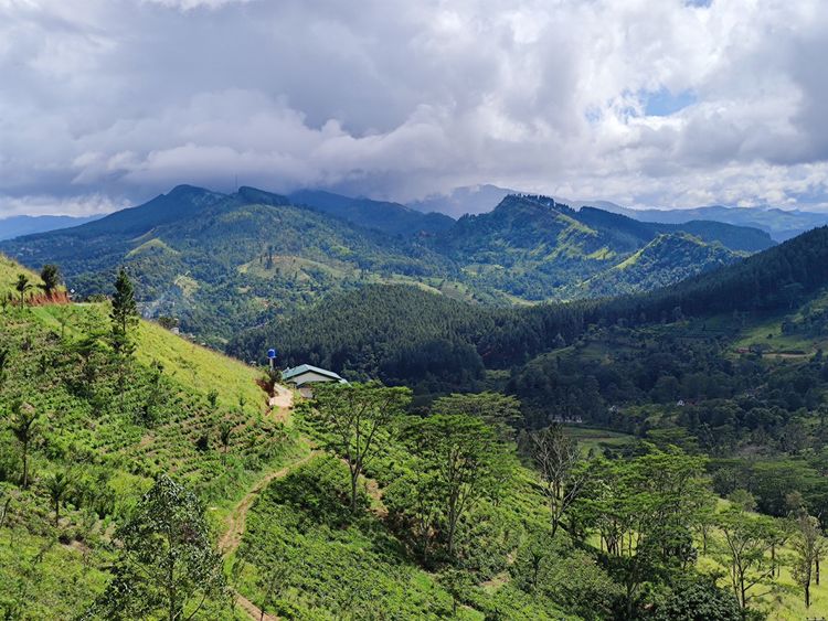 Wandern in den Hügeln oberhalb von Kandy: die Hantana-Berge