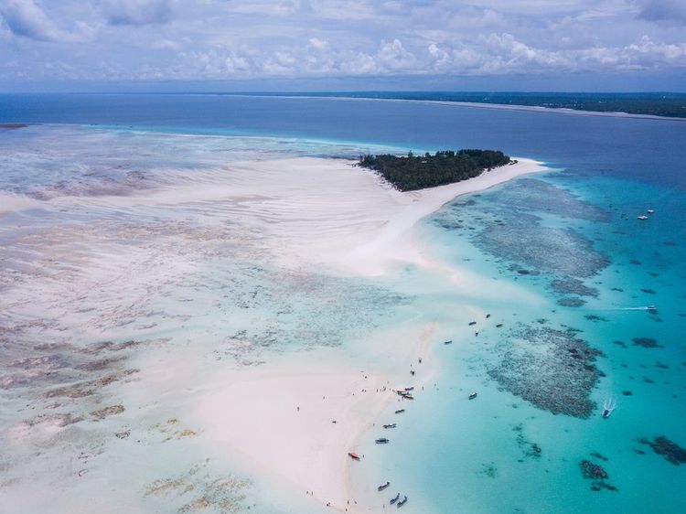 Majestätischer Tauchgang rund um das Mnemba-Atoll