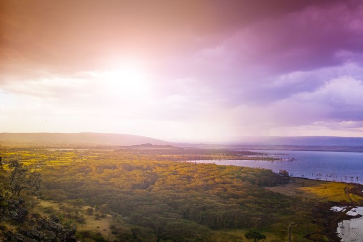 Experience unusual safaris on the shores of Lake Naivasha in Kenya