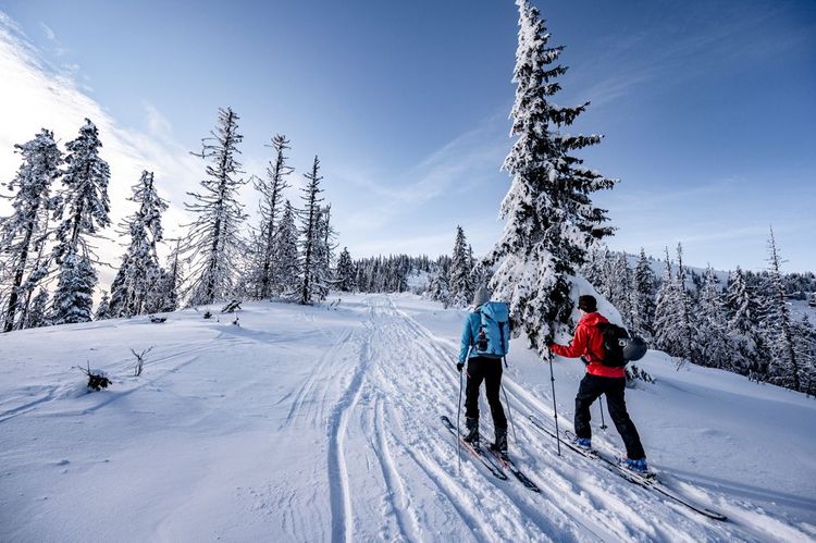 Esquí de travesía en invierno