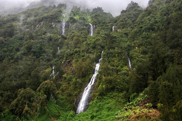 Les plus belles cascades de La Réunion