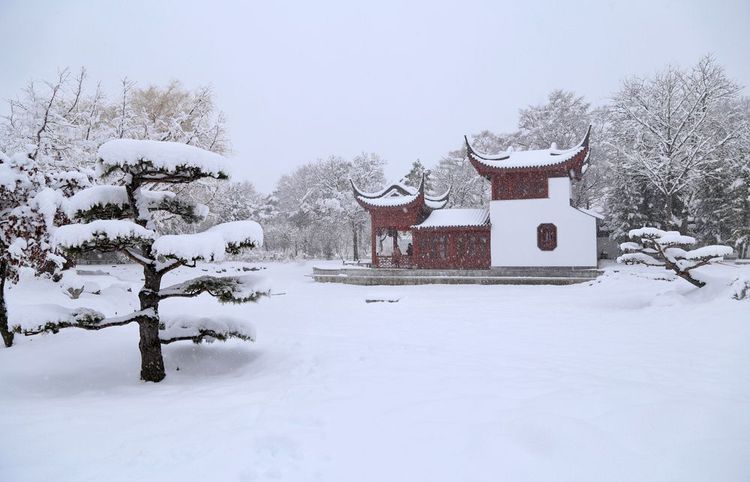 Jardin Botanique de Montréal, Canada