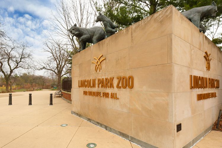 L'ingresso dello zoo di Lincoln Park