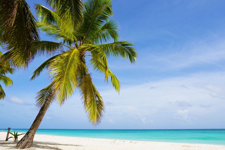 8 plages de rêve à Punta Cana