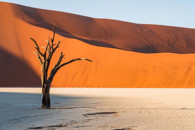 Parc National Namib-Naukluft, Namibie, Afrique