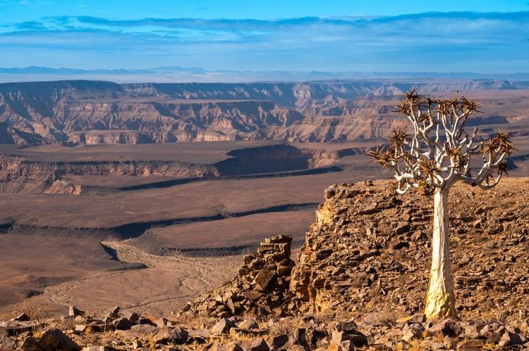 Paysage du Fish River Canyon, Namibie