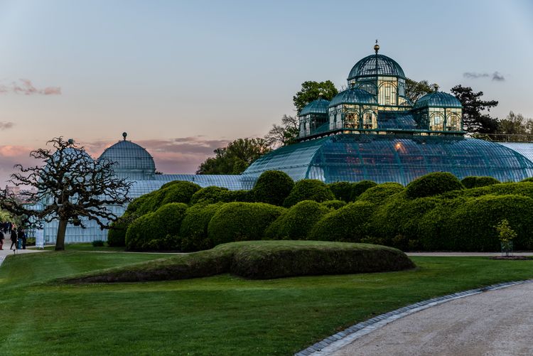 An exotic visit to the Royal Greenhouses in Brussels