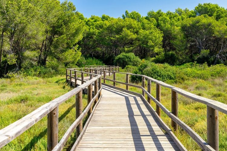Parc naturel de S´Albufera des Grau près de Mahon, Menorca.