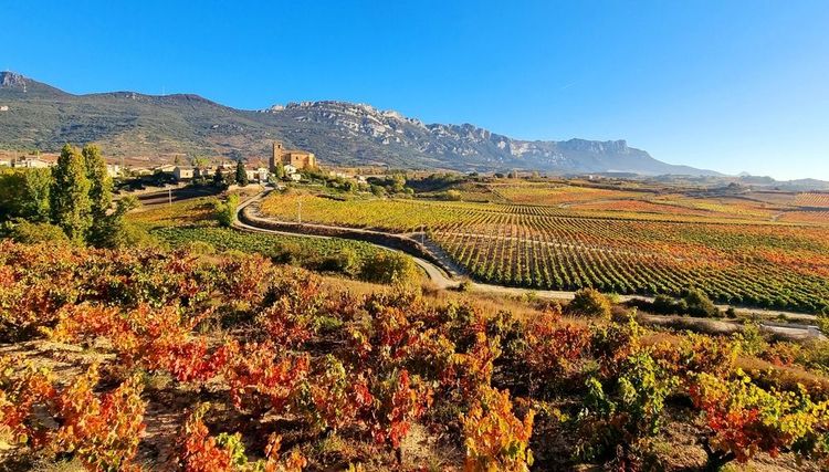 Route du vin de Rioja Alavesa
