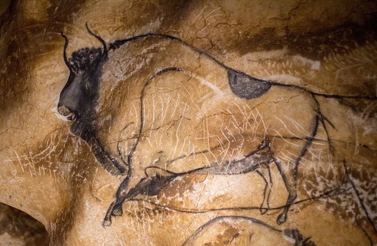 Grotte de Chauvet