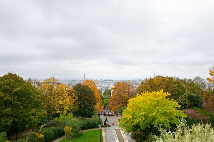 Vue du Belvédère de Belville sur le parc et la ville