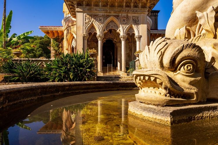 Des poissons aux airs de dragon ont élu domicile devant le palais