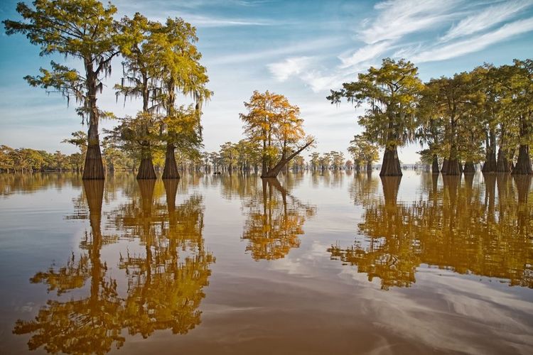 Lafayette, bassin d'Atchafalaya, Louisiane, Etats-Unis