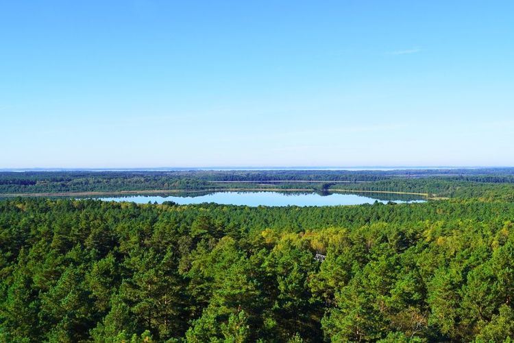 Vue aérienne du parc national de Müritz.