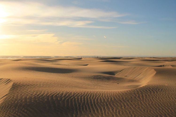 Plage sauvage de l’Espiguette