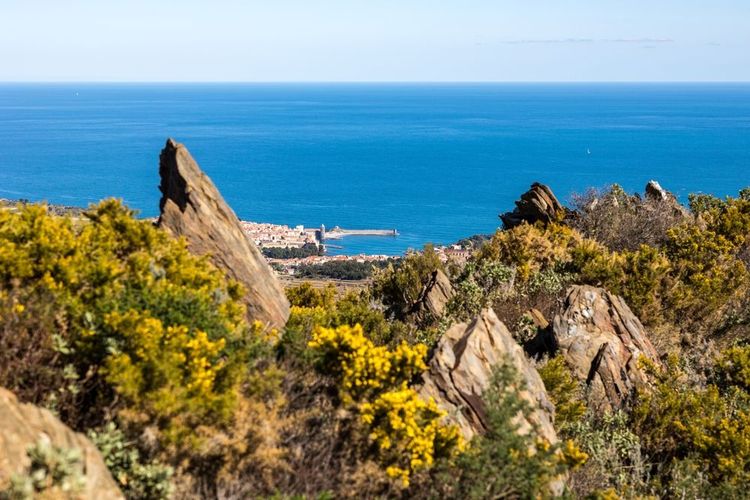 Der Blick auf das Mittelmeer vom Massif des Albères aus