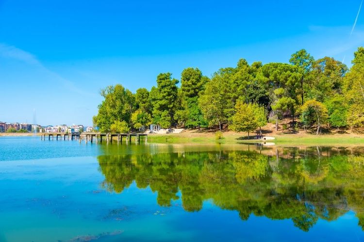 Les berges du lac en plein été