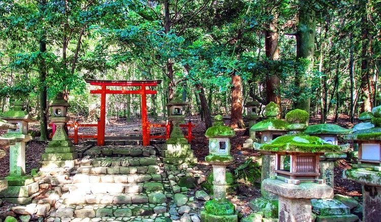 Sanctuaire Kasuga Taisha dans la forêt primitive de Kasugayama sont inscrits au patrimoine mondial de l'UNESCO