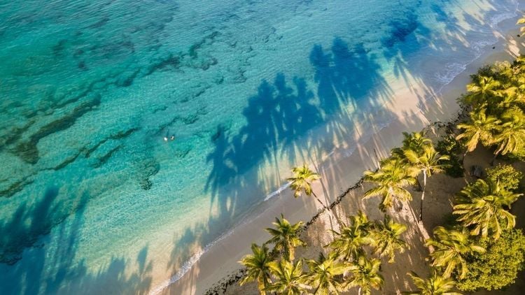 Les plages paradisiaques de Martinique : un voyage sur les plus belles côtes de l'île