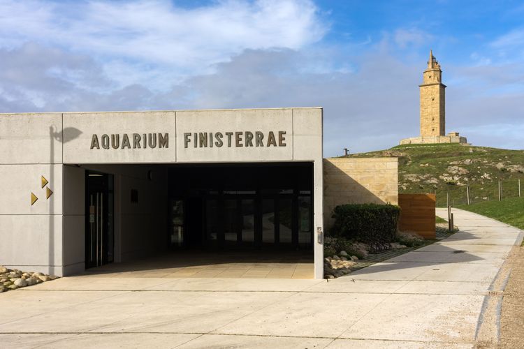 Acuario Finisterrae: Un Paseo Submarino en A Coruña