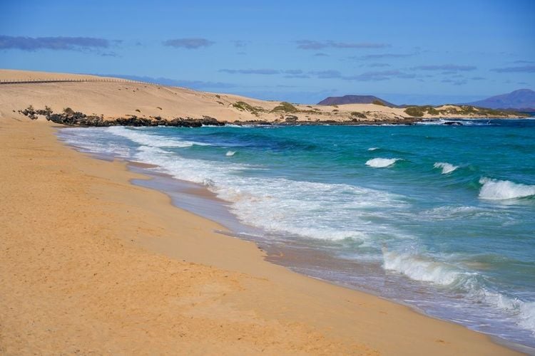  Parc Naturel de Corralejo au nord de l'île de Fuerteventura dans les Canaries, Espagne