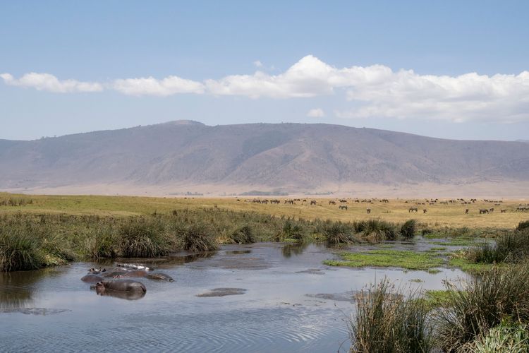 À la découverte du cratère géant du Ngorongoro au cœur de la Tanzanie 